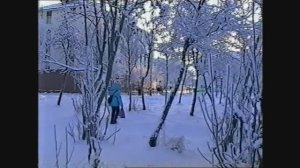 + Природа родного Заозерска