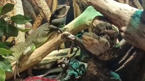 Экзотариум в парке "Лога"