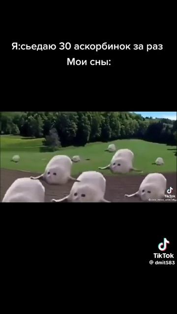 ❤ смотреть онлайн