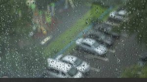 Из-за обильных ливней 28 домов оказались подтопленными в Омской области