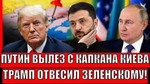 Путин выпрыгнул с капкана Путина! Трамп отвесил Зеленскому оплеуху// Реальность Киева не утешает!