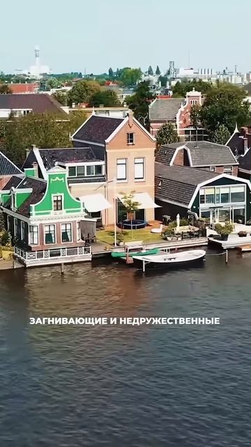 Армения заняла второе место в российском импорте цветов смотреть онлайн