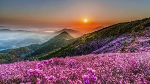 ВСЕ МОГУ Я С НИМ! Пастор Нурлан Бекмурзаев