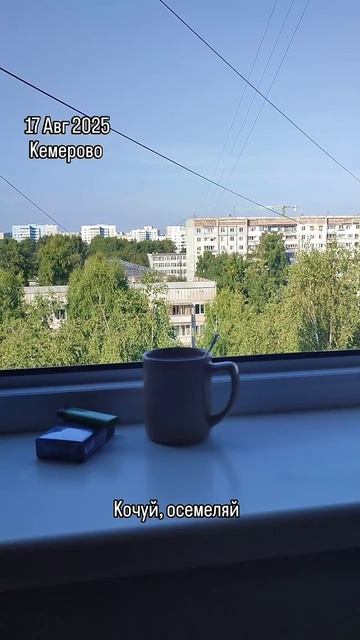 2025-08-17 смотреть онлайн