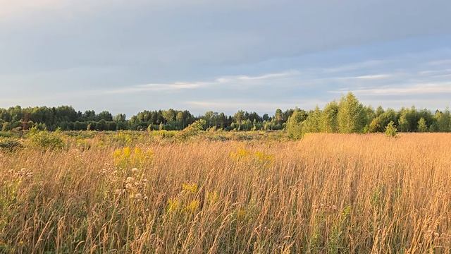 ИЛЬИНСКИЕ.УСАДЬБЫ смотреть онлайн