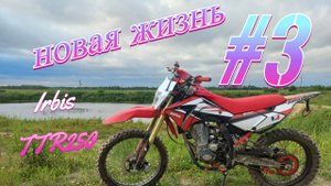 ПРИВОДИМ В ЖИЗНЬ СТАРИКА|Покраска защиты картера,и некоторые планы на будущее|IRBIS TTR250A