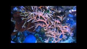 Торпеде 3 года 16 07 2017 4К