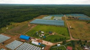 Лесопитомник с нуля: как построить бизнес на деревьях и восстановить русский лес | Своя еда