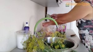 Обещают сильные ливни, надо успеть собрать урожай