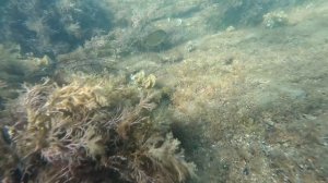 Анапа Малая Бухта Лифт На Пляже. Любимое Место Отдыхающих. анапа