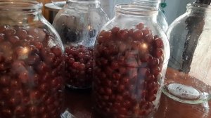 Всем доброго времени суток друзья. Восстановила я рутуб наконец то 🙏.
Заготовка вишни компот на зим