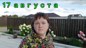 17-08-2025 Каков урожай перца в сезоне.Чем занималась сегодня