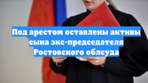 Под арестом оставлены активы сына экс-председателя Ростовского облсуда