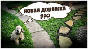От идеи до Реальности: Дорожка из Камня своими руками