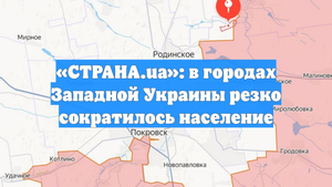 «СТРАНА.ua»: в городах Западной Украины резко сократилось население