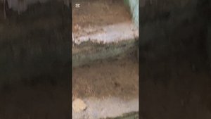 Кто поцарапал машину? Стала выяснять