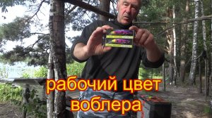 Воблер Mr. Musurok цвет № 108 реально ловит хищника. Находка прошлого и этого сезона рыбалки.