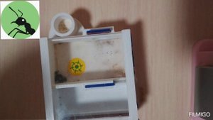 чистка фармикария