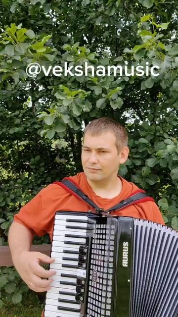 плывётвеночек надеждакадышева золотоекольцо гармонь аккордеон нотыдляаккордеон