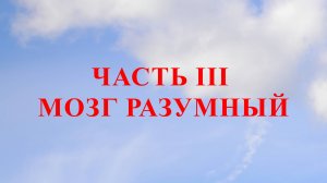 ЧАСТЬ III МОЗГ РАЗУМНЫЙ