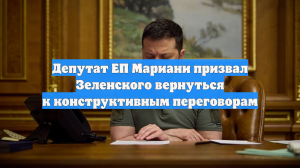 Депутат ЕП Мариани призвал Зеленского вернуться к конструктивным переговорам