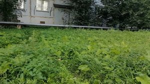 16.08.2025.С.Ильинское.Домодедово.Обзор проводимых работ. Часть 1.Московская область. Решаем проблем