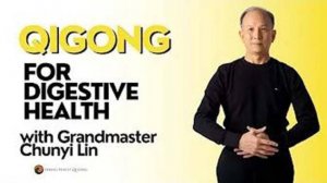 YT01-07 Решаем проблемы с пищеварением. Chunyi Lin - Spring Forest Qigong