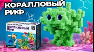 #2 Опыты Майнкрафт. Снежок делает караловый риф