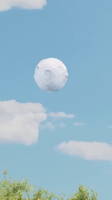 Noodle and Bun 🐕🐈⬛ смотреть онлайн