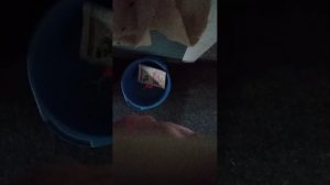 уход за таба сквишами