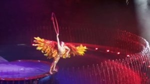 летающая жарптица