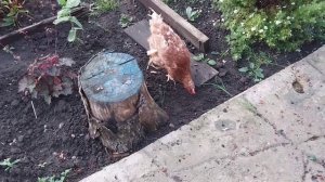 В мире животных!🤗