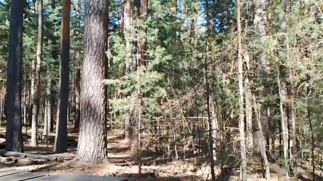 РОЛЬ ПРОФСОЮЗА В РАБОТЕ ПО НАЙМУ.