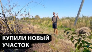 Купили новый участок под Краснодаром (поселок Здравое), будем копать пруд