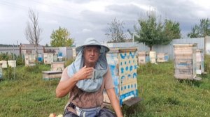 Какого чёрта он наставил столько магазинов... Мёда он получит с гулькин нос