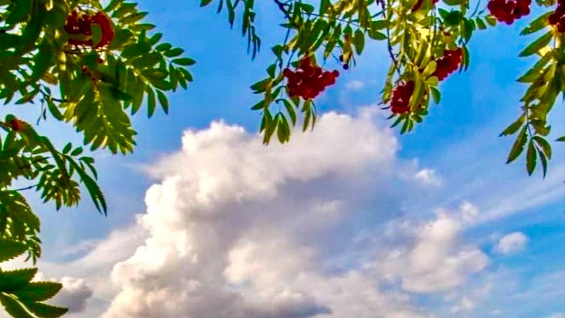 я жизнь начну сначала. смотреть онлайн