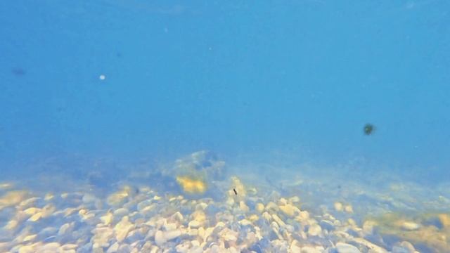Под водой Чёрного моря GoPro 13