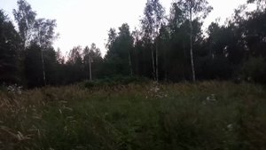 Ловушки продолжают радовать