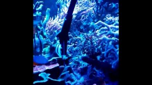 Торпеда 19 сентября 2014