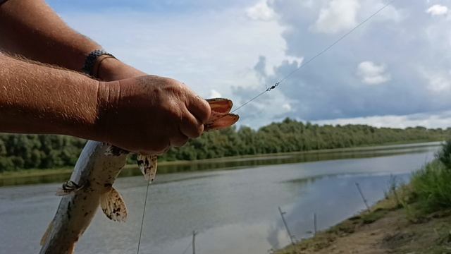 Щучка на донку. смотреть онлайн