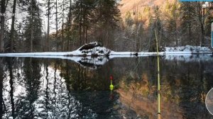 Как поймать амия в игре My Fishing World