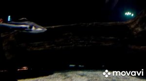 Москвариум октябрь 2016