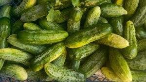 МАРИНОВАННЫЕ ОГУРЦЫ С КЕТЧУПОМ...ОООЧЕНЬ ВКУСНО 😋 😋 😋