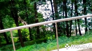 Царицино июнь 2016.