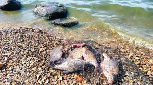 Рыбалка на Фидер,август 16.08.25