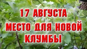 17 августа. Подготовительные работы для создания новой клумбы
