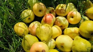 Красатули мои, красатули!..