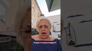 А цари-то ненастоящие!