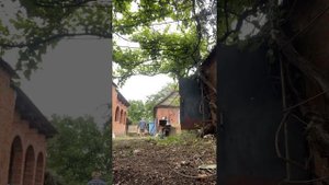 Купили участок с домом в СТАНИЦЕ!