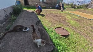 Такое себе занятие. На ночь глядя захотелось... Жизнь в маленькой деревне